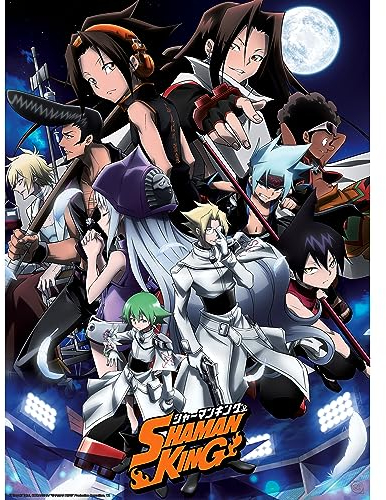 GB eye Poster Shaman King Shaman Fight 38x52cm