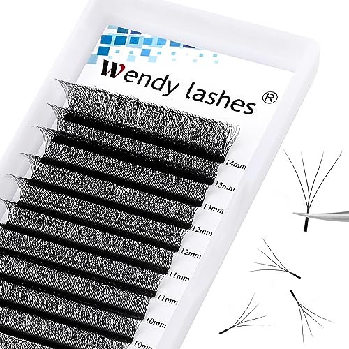W Lash Extensions 4D Premade Fans Volume Lashes Mix8-14 0.07mm D Curl W-Shaped Lashes Refine the Roots of the Lashes and Extend 3 Tips Eyelash Extensions(4DW-0.07-D-814)