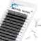 W Lash Extensions 4D Premade Fans Volume Lashes Mix8-14 0.07mm D Curl W-Shaped Lashes Refine the Roots of the Lashes and Extend 3 Tips Eyelash Extensions(4DW-0.07-D-814)