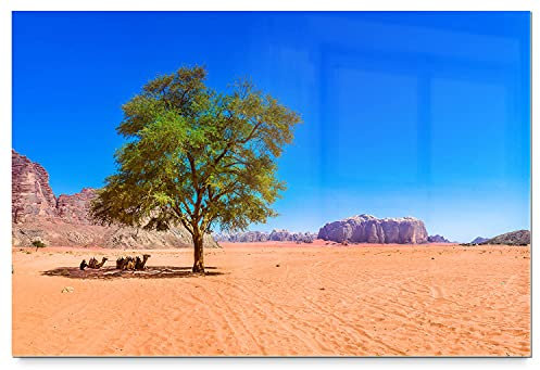 BilderKing Schönes Acrylglasverbund-Bild 90x60cm Wüsten. EIN Elegantes, modernes 8mm Acrylbild Baum für Wohnzimmer, Schlafzimmer, Flur, Küche. Mit Befestigung für schwebende Optik