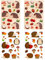 Oblique Unique Herbst Sticker Set Igel Aufkleber Kinder Dekoration für den Herbst Basteln Scrapbooking DIY