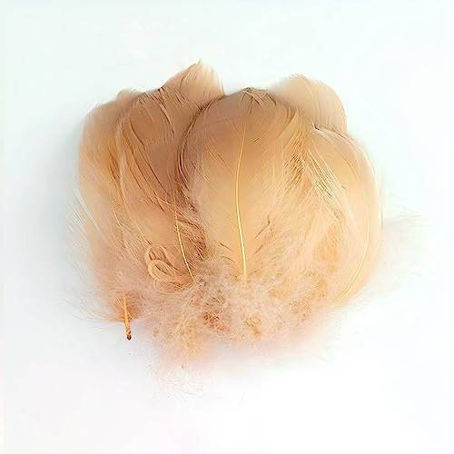 Gänsefedern Apricot 7-12cm - 100 Stück (5g) - Hochwertige, Flauschige & Natürliche Federn für Basteln, Dekoration, DIY Projekte, Traumfänger, Schmuckherstellung & Mehr