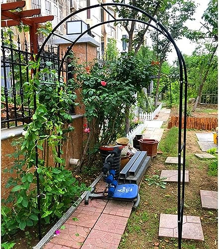 GueTTO Arche De Jardin en Fer Forgé Largeur du Passage 120Cm 140Cm 180Cm 240Cm 300Cm 350Cm Arceau À Rosiers Tonnelle pour Mariage Vigne Support De Plantes,Noir,W180cm x H220cm