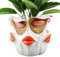 Gungtj Pot de fleurs uniques, pots de fleurs amusants, décoration d'intérieur, pot de fleurs en forme de visage, pot de fleurs créatif, pot de fleurs succulentes avec motif visage, utilisation