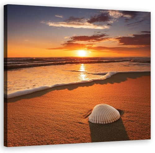 Feeby Leinwand Bilder - Muscheln Natur - Canvas 50x50 cm - Deko Wohnzimmer - Wandbilder Schlafzimmer - Deko Aesthetic - Wand Deko - Leinwand Groß - Deko Zimmer - Leinwandbilder XXL