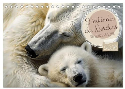 Tierkinder des Nordens (Tischkalender 2026 DIN A5 quer), CALVENDO Monatskalender: Neugierig, mutig und verspielt (CALVENDO Tiere)