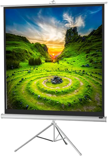 celexon Economy Écran de projection trépied blanc 135 | 244x244 cm 1:1 | Écran mobile & transportable 4K, Full-HD avec enrouleur manuel pour Home Cinéma, bureau et l'extérieur | Pied + poignée inclus