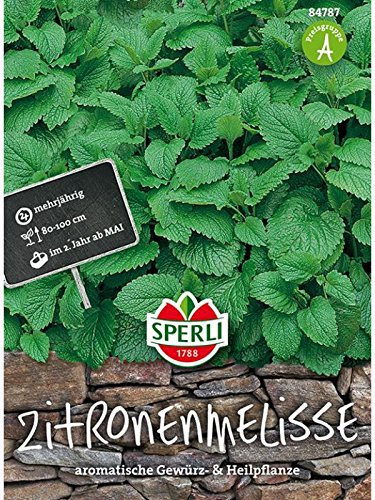 Zitronenmelisse SPERLING´s Lima