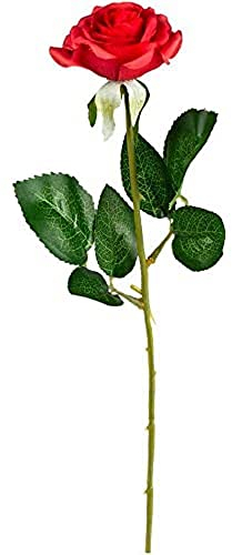 Boland 48015 - Rose, Länge 43 cm, Bachelor, Dekoration, Accessoire, Geschenk, Mottoparty, Karneval