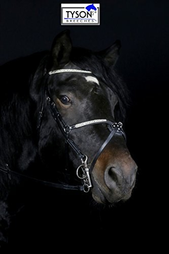 Tysons Breeches Deister Mexikanisch Super Glitzer/Strass Leder Schwarz Reithalfter VB WB X Full Springen Zaum (X Full)