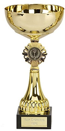 Trophy Presentation Cup Gold Shield 24cm Free Engraving up to 45 Letters 325E