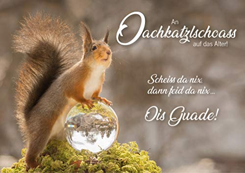 3 Stück Witzige Doppelkarte mit Kuvert, Geburtstagskarte, Eichhörnchen, bayrisch:An Oachkatzlschoass auf das Alter! Scheiss' da nix, dann feid da nix! Ois Guade!