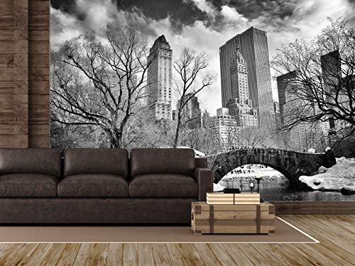Oedim Fotomural Vinilo para Pared Central Park Blanco y Negro | Fotomural para Paredes | Mural | Vinilo Decorativo | 200 x 150 cm | Decoración comedores, Salones, Habitaciones