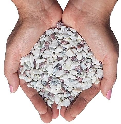 Decorative Pebbles for Plants and Vases - White Rocks with Red, Green, and Blue Pastel Accents - 2.5 lbs Natural Stone Top Dressing for Potted Plants and Succulents - 1/5 to 3/8 Size (5-10 mm)
