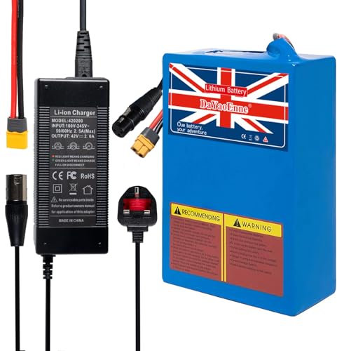 DaYaoEnne 36V 20Ah Lithium Battery Pack for Electric Bike/Scooter - with 2A Fast Charger & T-Plug, 30A BMS (200-1200W Motor) (36V20Ah with Charger)