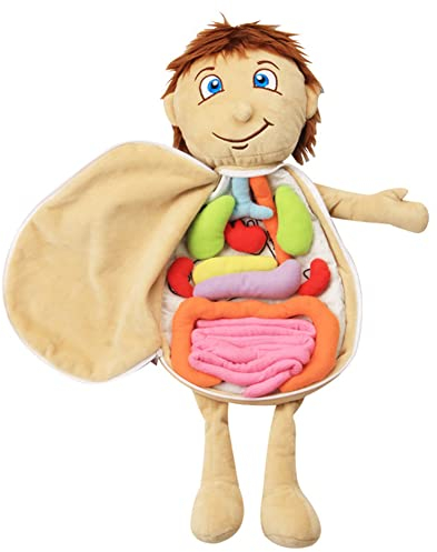 LICHENGTAI Modell Anatomie Puppe, Menschlicher Körper Organ Puppe, Kinder Stoffpuppe Lernspielzeug Anatomie Lernpuppe Physiologisches Pädagogisches Kognitives Spielzeug für Baby Jungen Mädchen