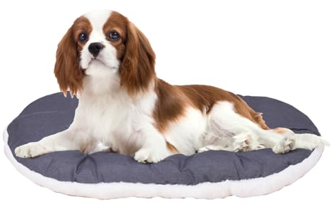 FERPLAST Hundebett & Katzenbett - Hundebett Mittel - Hundebett Waschbar - Hundekissen - Matte für Hundehütten, Zwinger und Auto - Hundebett Flauschig - Relax - 65 x 42 CM, M, BEIGE
