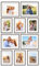 PHOTOLINI dunkle Eiche Bilderrahmen Set verschiedene Größen, 10 MDF Holz Bilderrahmen mit Passepartout, Bilder Rahmen Acrylglas, Bilderrahmenset zum Aufhängen, Fotowand Fotorahmen Set & Zubehör
