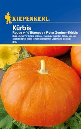 Kiepenkerl Kürbissamen Rouge vif d'Etampes - Hochwertige Samen für orangerote Kürbisse, Altbewährte Sorte für den Garten