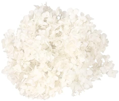 Didiseaon 1Confezione Confezione da Naturali Conservati Ortensia Essiccati per Decorazioni da Te Art Bianco