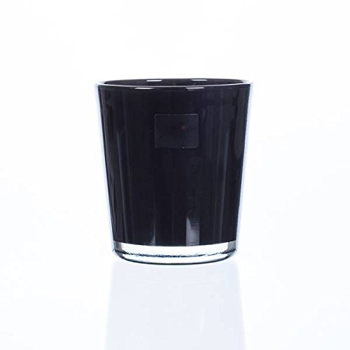 Sandra Rich Glas Orchideentopf Blumentopf Orchid schwarz H. 13,5cm D. 12,5cm