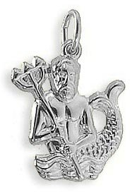 Viennagold Sternzeichen Anhänger Wassermann Massiv Sterling Silber 925 (Art.213213)
