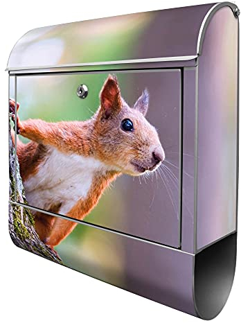 banjado® Design Briefkasten mit Eichhörnchen 38,5x46,5x13cm & 2 Schlüssel - Briefkasten Stahl Silber mit Zeitungsfach pulverbeschichtet - Postkasten A4 Einwurf inkl. Montagematerial
