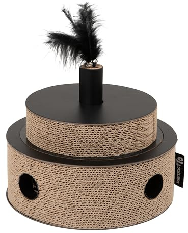 District 70 Fiesta - Black