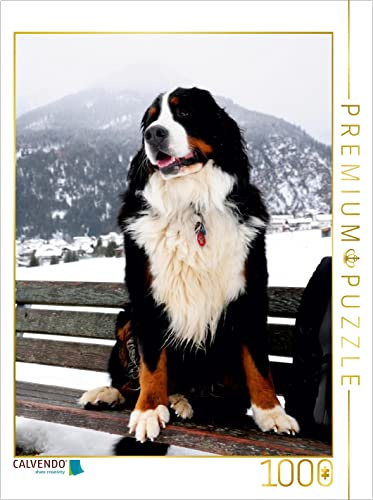 CALVENDO Puzzle EIN Motiv aus dem Kalender BÄR - Der Berner Sennenhund | 1000 Teile Lege-Größe 48 x 64 cm Foto-Puzzle für glückliche Stunden