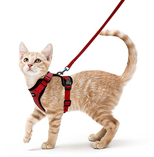 rabbitgoo Katzengeschirr mit Leine Softgeschirr für Katze Brustgeschirr Cat Harness Katzengarnitur Ausbruchsicher Verstellbar Katzenweste Rot S