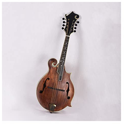 ZMTV F Style Mandolin, Solid Spruce Top, Solid Flame Maple Back & Sides, 8 Strings, Mandolin Instrument for Beginner