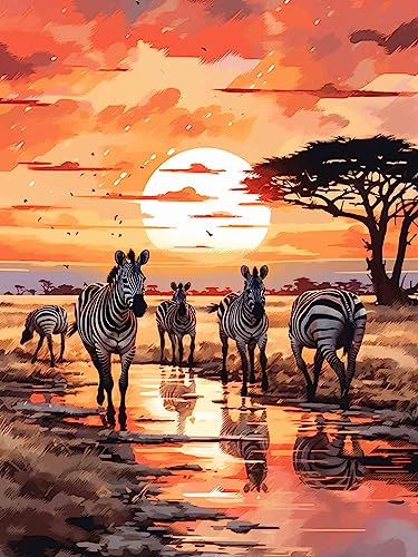 Pentoa Diamond Painting Zebra Set Zubehör, Diamant Painting Bilder Tiere, Full DIY Crystal Strass Stickerei Home Wand Decor Gemälde Kreuzstich Diamond Wall Dekoration 30x40cm