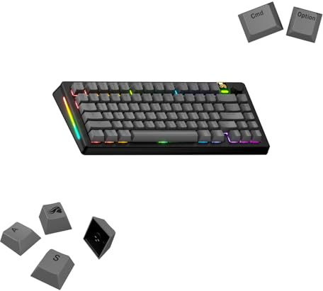 GLORIOUS Gaming – GPBT Basics (grå PBT-tangenter), 8 färger, bleknar Inte, för mekaniska tangentbord, passar Till 100%,75%,65% Och 60%, – Amerikansk QWERTY-Layout