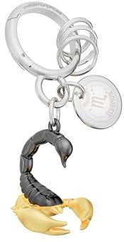 METALMORPHOSE - Porte-clés Charms Signe du Zodiaque Scorpion - Signe Astrologique Scorpion - Cadeau Homme, Femme et Enfant