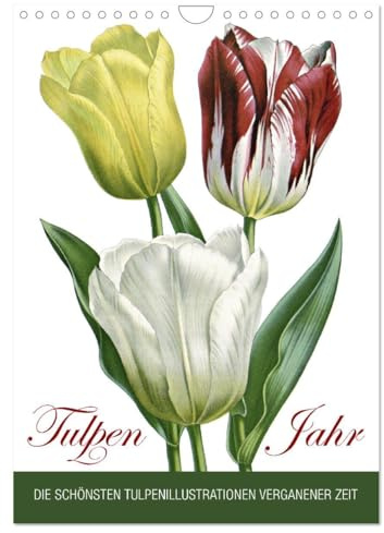Tulpen - Jahr (Wandkalender 2026 DIN A4 hoch), CALVENDO Monatskalender: Die schönsten Tulpenillustrationen vergangener Zeit (CALVENDO Natur)