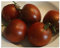 Tomate Black Prince - Tomate schwarzer Prinz - 10 Samen
