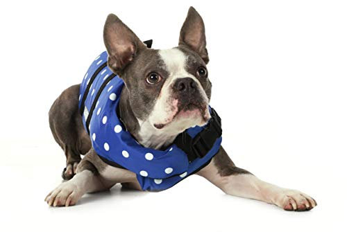 Seachoice 86260 Hundeschwimmweste - Verstellbare Rettungsweste für Hunde, mit Haltegriff, blau gepunktet, Größe XXS, bis 2,7 kg