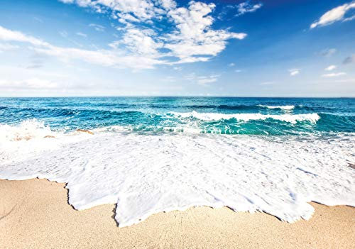 Forwall Fototapete Strand Meer Ostsee Natur Dünen Landschaft Wohnzimmer Schlafzimmer Vlies Tapete Wandtapete UV-Beständig Montagefertig (10218, V8 (368x254 cm) 4 Bahnen)