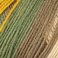 100g Concept AAVA - Farbe: 202 - beige-rose-grünblau-ocker - fröhliches und mehrfarbiges Streifenmuster macht dieses Premium Socks & More-Garn zu einem echten Must-Have.