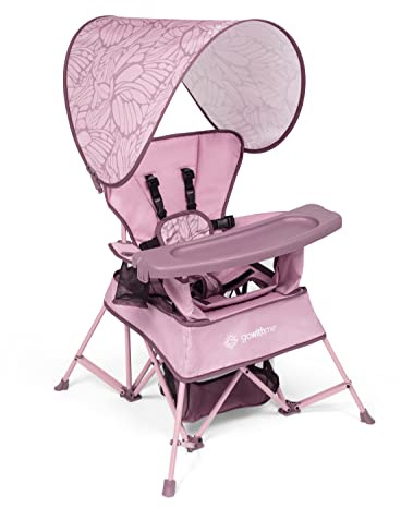 Baby Delight Go with Me Venture Portable Chair | Indoor and Outdoor | Sun Canopy | 3 Child Growth Stages | Canyon Rose