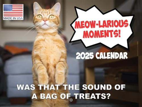 Funny Cat Kalender 2024 Meowlarious Wandkalender