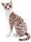 Kuscheltier Katze Lebensecht, 35cm Simulation Kurzhaar Nette Katze Puppe Flauschigen Plüsch Kätzchen Liegend Stofftier echt siamesische Katze Plüschtier Katze Plüschfiur Spielzeug für Kinder Frauen