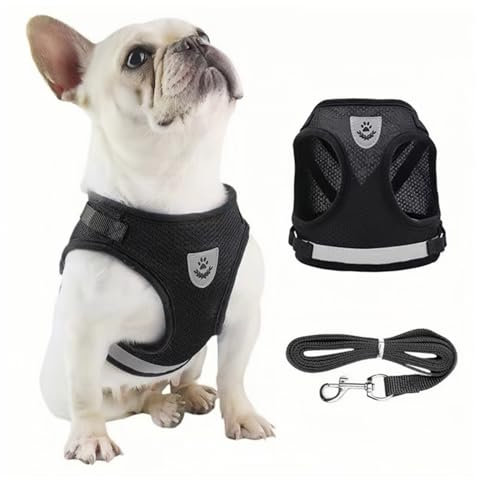 Verstellbare Brustgeschirr, Hundegeschirr mit Leine Reflektierend, Welpen Geschirr und Leine Sets, Hundegeschirr mit Leine Reflektierende Verstellbare Katzen Weste für Kleine Mittele Hunde Katzen (S)
