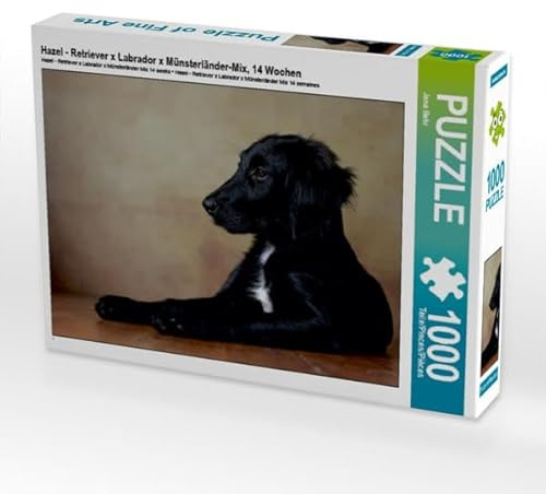 CALVENDO Puzzle Hazel - Retriever x Labrador x Münsterländer-Mix, 14 Wochen 1000 Teile Puzzle quer | Lege-Größe cm Foto-Puzzle für glückliche Stunden
