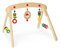 Pinolino Babygym Jane, aus Holz, zur Spiel- und Greifanimation, mit Kugeln, Ringen, Halbkugeln und einem Glückspilz, für Babys ab 3 Monaten