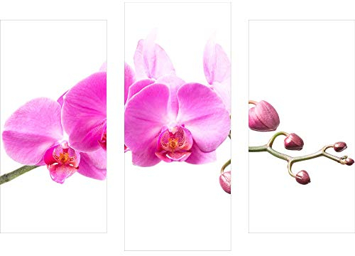decorwelt | Dreiteiliges Wandbild 3 Teilig Acrylglasbilder Acryl Glasbild Orchidee Pink 90x70 cm Wandbilder Wohnzimmer Esszimmer Deko Wanddeko