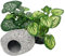 Smoothedo-Pets Betta Lot de 3 plantes artificielles en soie douce pour aquarium 10,2 cm
