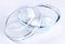 HUSANMP Juego de fuente redonda de cristal templado, 0,5 L de cristal con tapa para horno, congelador y lavavajillas