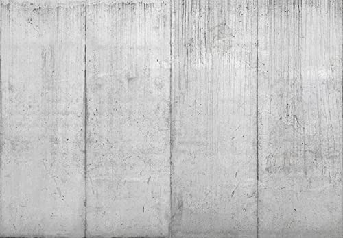 WallArena Fototapete Betonwand Beton Betonoptik Loft Wohnzimmer Schlafzimmer Wandtapete Vlies Tapete UV-Beständig Geruchsfrei Montagefertig (13991, V10 (368x280 cm) 4 Bahnen)
