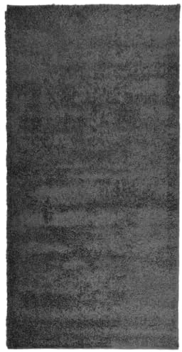 vidaXL Teppich Shaggy Hochflor, Bodenteppich Weich Flauschig, Flächenteppich für Wohnzimmer Schlafzimmer Flur, Flurteppich Hochflorteppich, Modern, Anthrazit 100x200cm